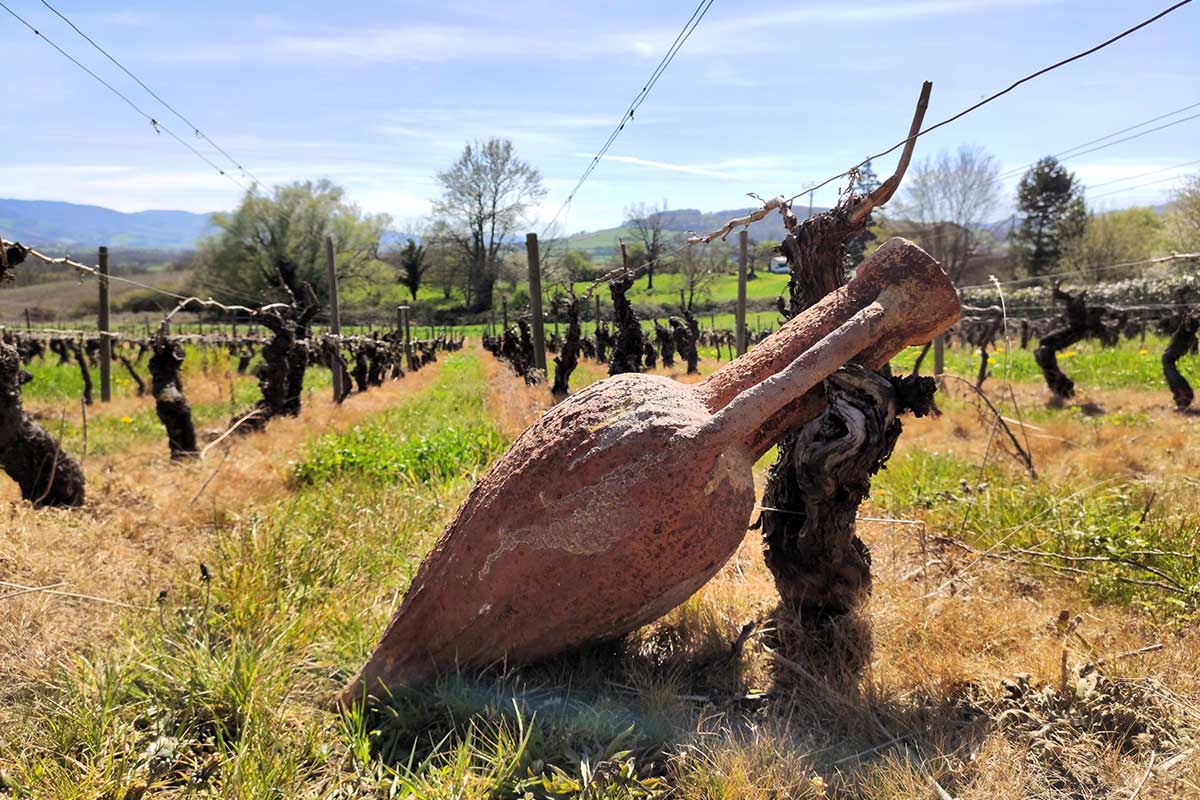 La dernière amphore - Escape Game nature dans le Beaujolais